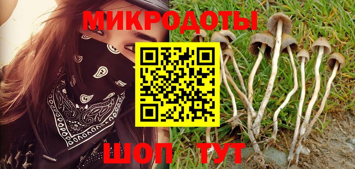Туймазы  Галлюциногенные грибы мицелий  Вход с VPN  Псилоцибиновые грибы Psilocybe 